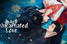 Reincarnated Love